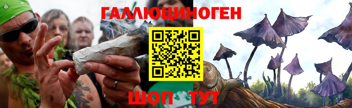 Черкесск  где найти наркотики  Вход с VPN  Псилоцибиновые грибы Cubensis 