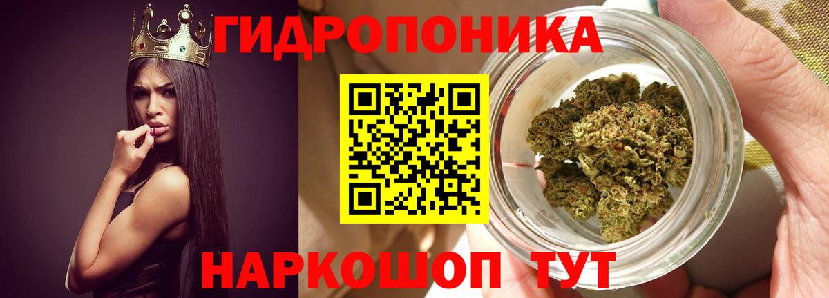 Марихуана ГИДРОПОН Черкесск